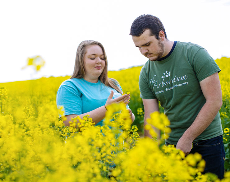 Students examining plants msu also offers online agriculture degrees