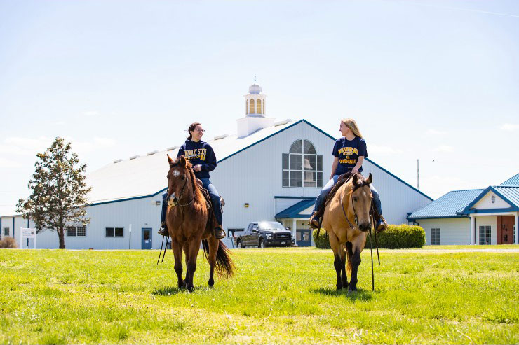 equine students riding in a field
