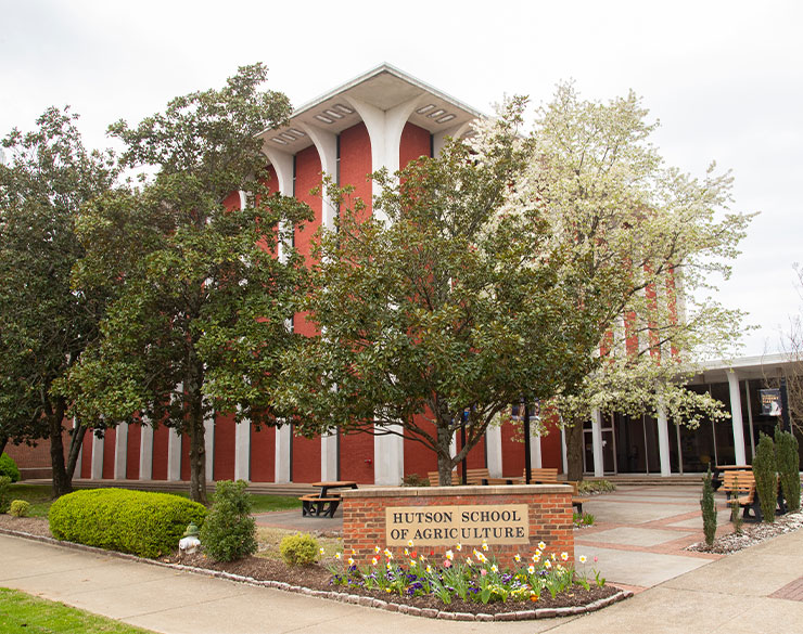 Hutson building in spring