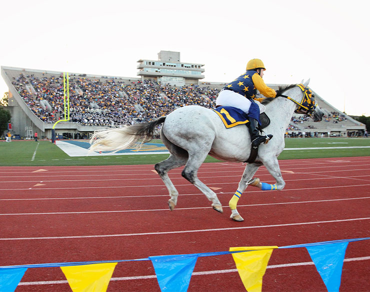 Racer One rounds the track at a football game