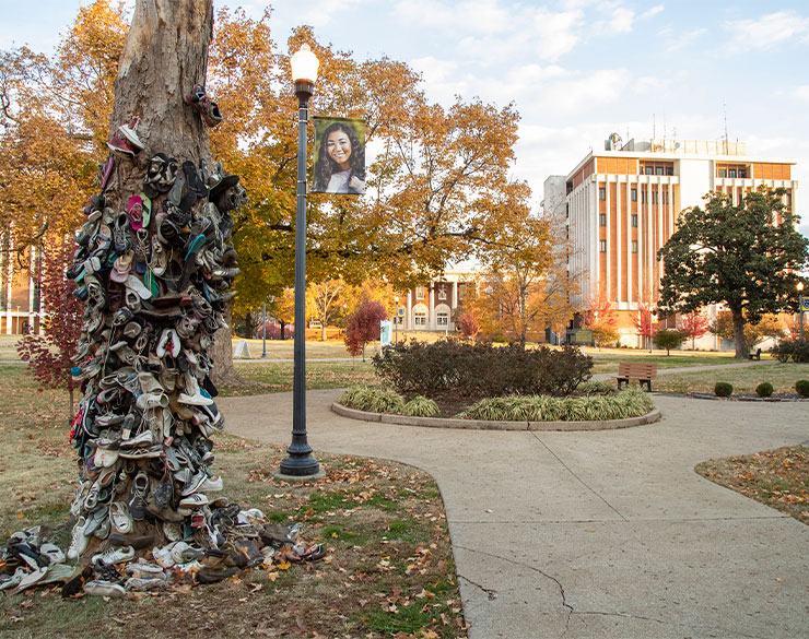 Shoe tree and campus