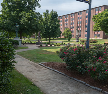 Quad with landscaping