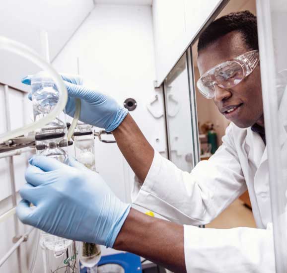 Biology Student works in a lab at one of the top universities and colleges in Kentucky