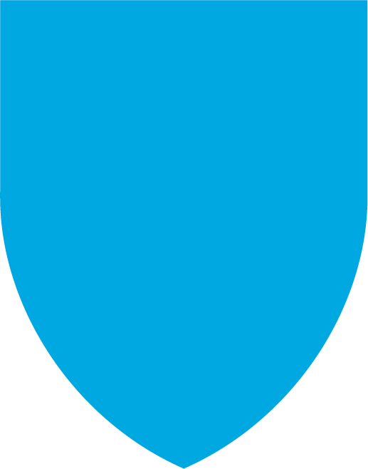 light blue shield swatch