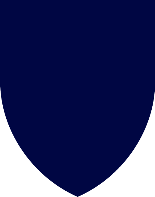 Navy shield swatch