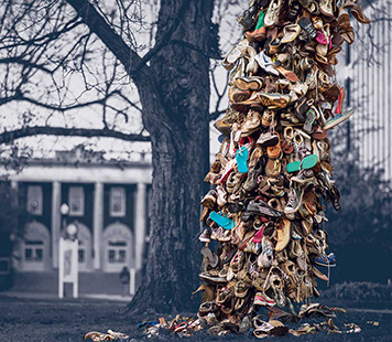 The shoe tree