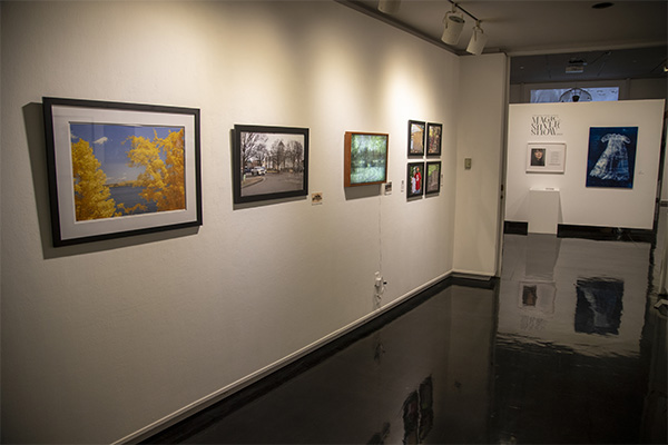 The Magic Silver Show 2025 Exhibition. This collection includes nature and slice-of-life photos, as well as cyanotypes. 