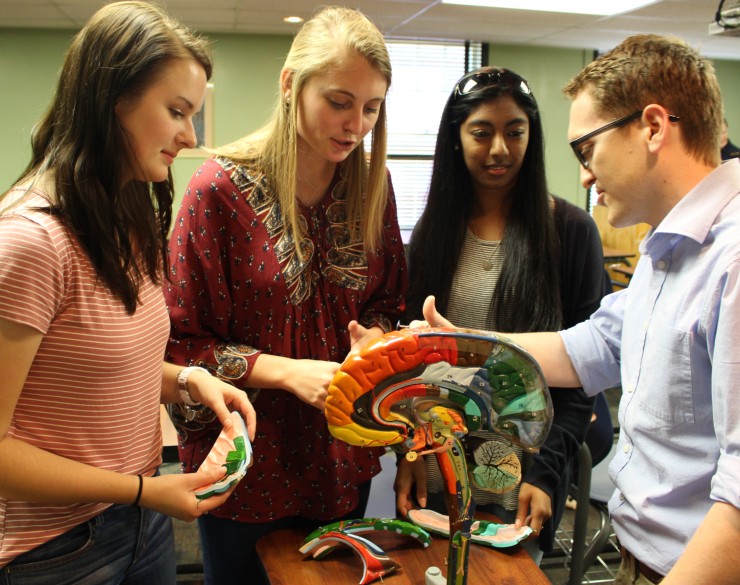 Students and professor viewing model of brain