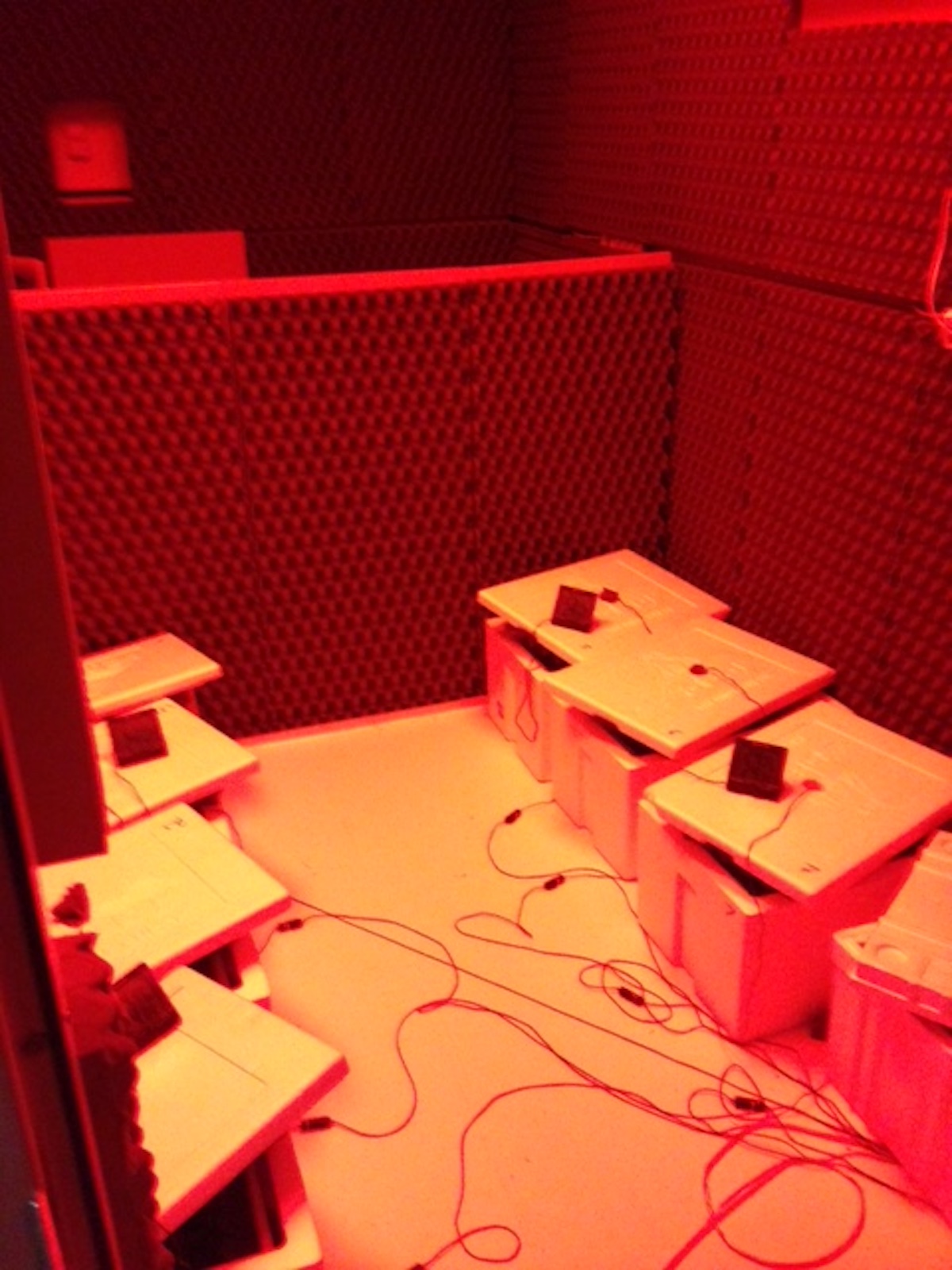 Recording boxes inside semi-anechoic chamber.