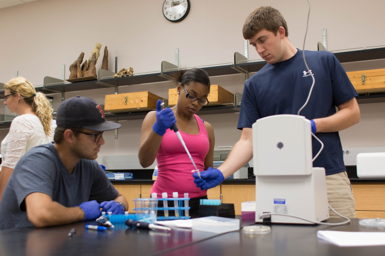 Students using pipettes.