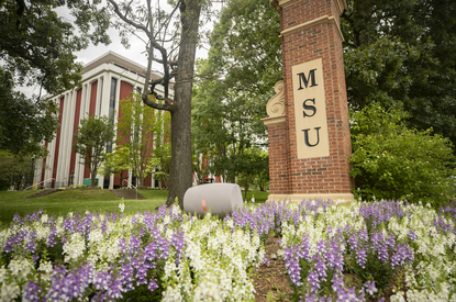 Flowers bloom around the entrance to Murray State University.