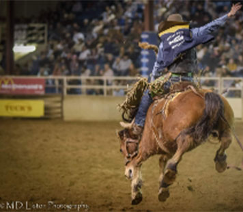 Saddle Bronc Riding Event