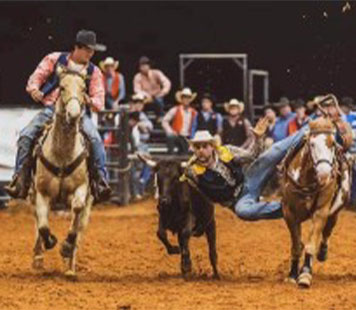 Steer Wrestling Event