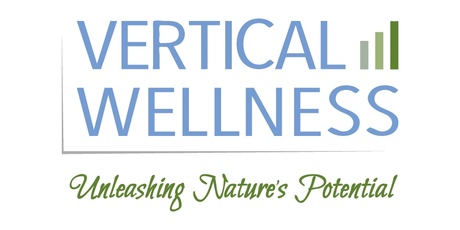 Vertical Wellness Logo
