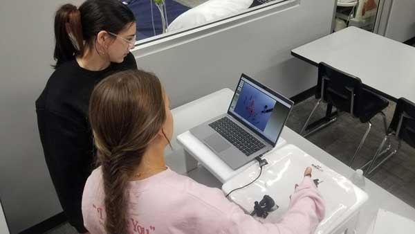 disease control simulation