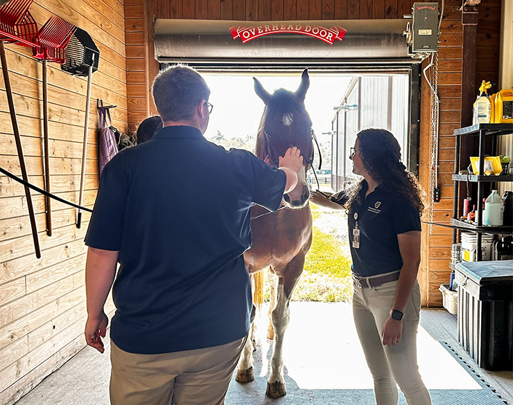Two students pet a horse
