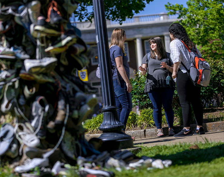 Students stand near the shoe tree. Transfer from community college