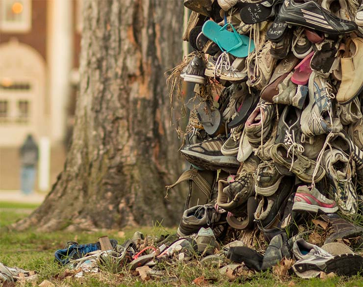 The Shoe Tree located outside of Pogue Library has been an ongoing tradition for couples who met at Murray State and eventually got married.