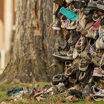 The Shoe Tree outside of Pogue Library