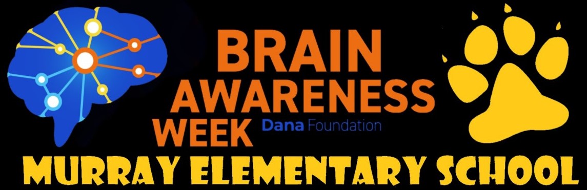 Brain Awareness Week logo