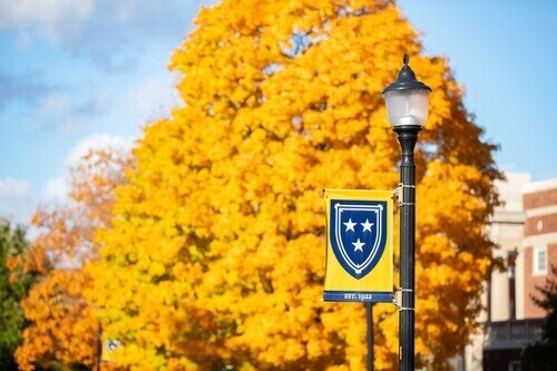 Racer shield flag with a golden tree in the background