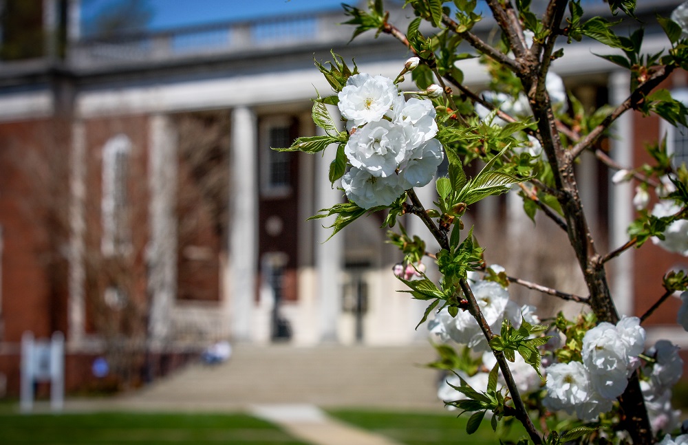 campus shot in spring
