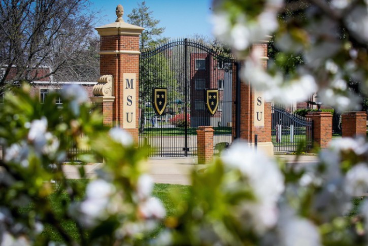 Brick and iron gates that read "MSU" with white flowers in the foreground.