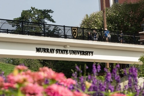 pedestrian bridge with spring flowers