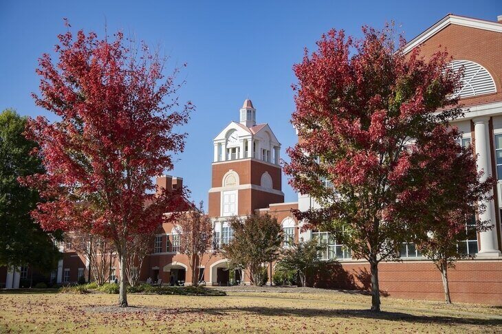 two trees in front of red brick university building